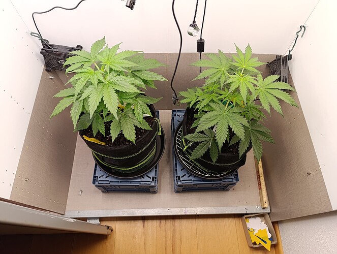 Growreport Bild 10