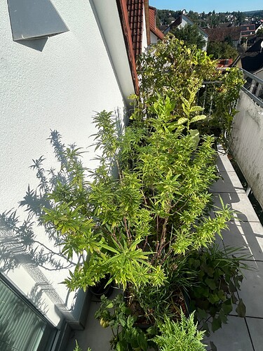 Growreport Bild 28