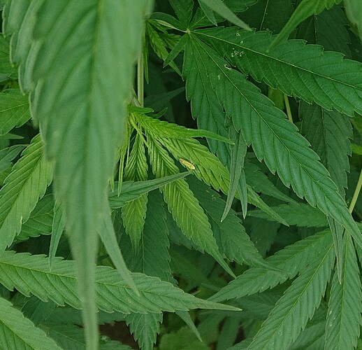 Growreport Bild 22