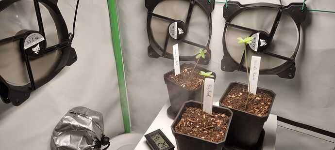 WhatsApp Image 2024-04-28 at 18.51.13(2)