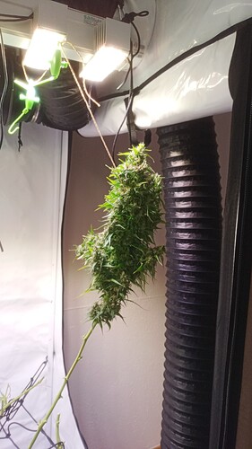 Growreport Bild 14