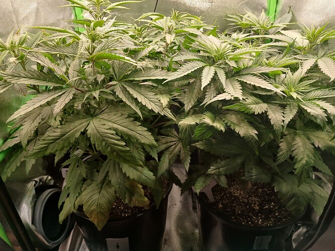 Growreport Bild 17