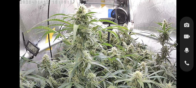 Growreport Bild 49