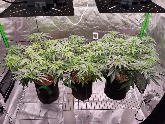 Growreport Bild 7