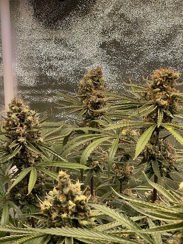 Growreport Bild 6