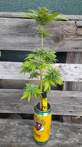 Growreport Bild 21