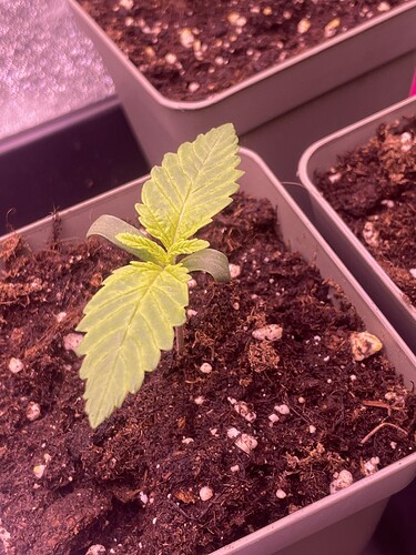Growreport Bild 11