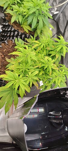 IMG_20251022_094620730_HDR