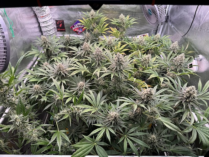 Growreport Bild 5
