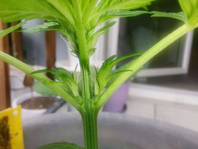 Growreport Bild 7