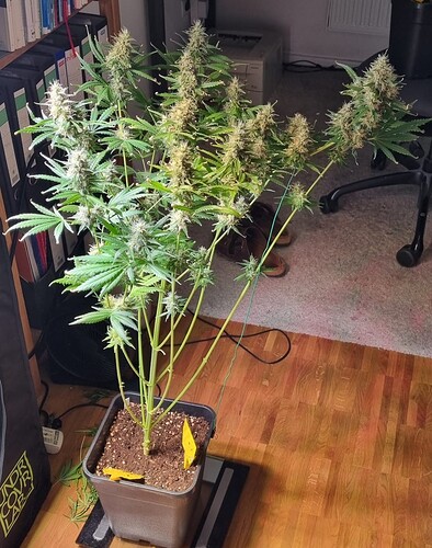 Growreport Bild 23