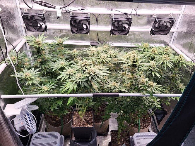 Growreport Bild 1