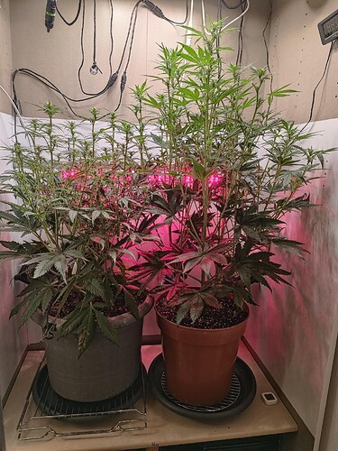 Growreport Bild 13