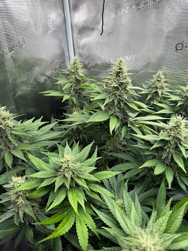 Growreport Bild 18