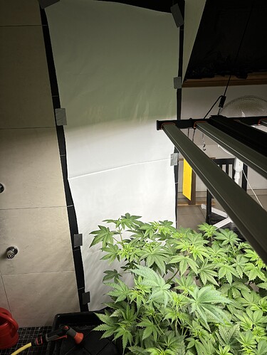 Growreport Bild 31