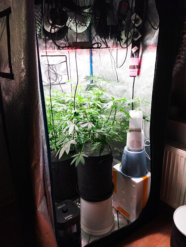 Growreport Bild 5