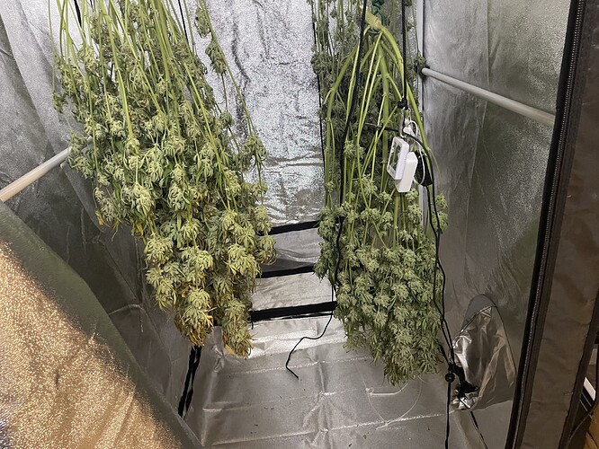 Growreport Bild 11