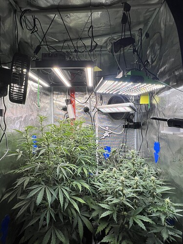 Growreport Bild 10