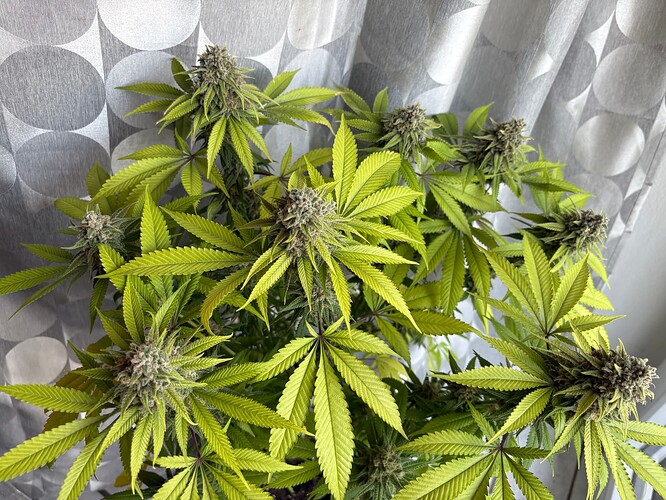 Growreport Bild 10