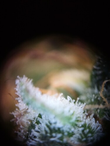 Growreport Bild 14