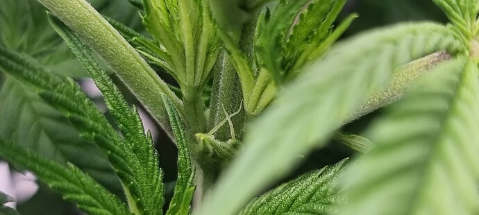 Growreport Bild 5