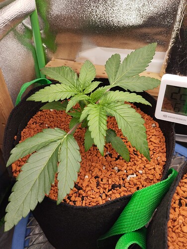 Growreport Bild 11