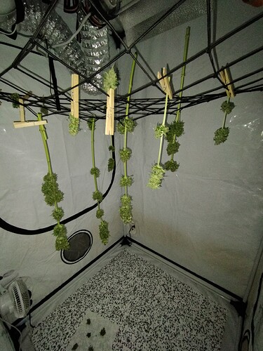 Growreport Bild 34