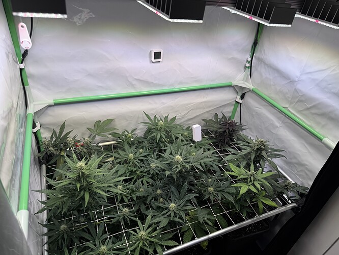 Growreport Bild 19