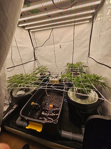 Growreport Bild 1