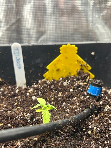 Growreport Bild 36