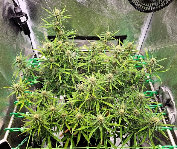 Growreport Bild 10