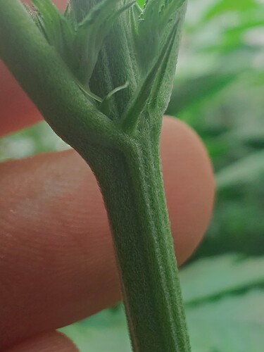 Growreport Bild 4