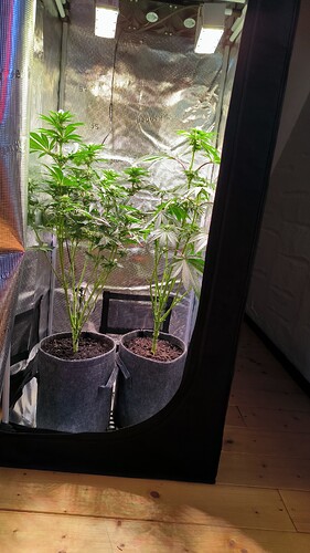 Growreport Bild 12
