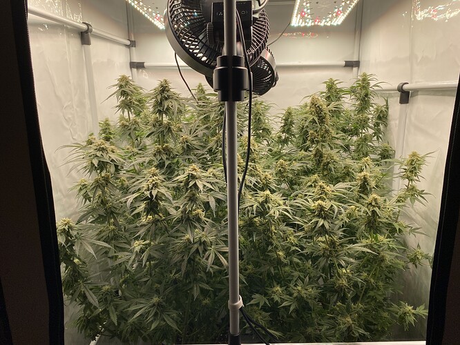 Growreport Bild 10