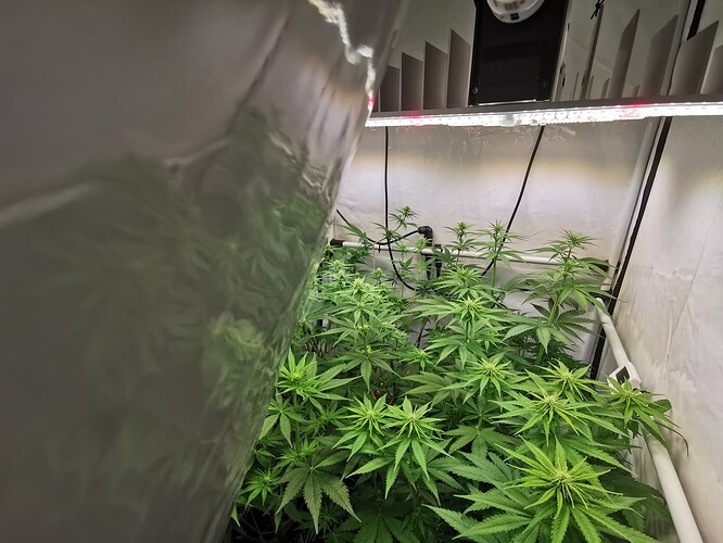Growreport Bild 5