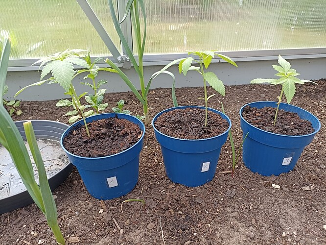 WhatsApp Bild 2025-04-21 um 13.00.58_ea93821f