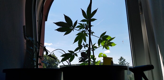 Growreport Bild 5