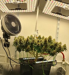 Growreport Bild 122
