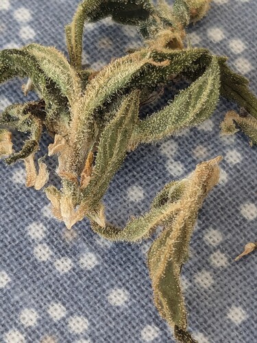 PXL_20240907_140831565