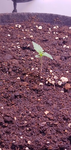 Growreport Bild 8