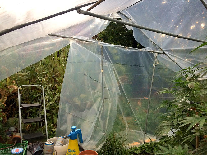 Grow26_0730_11