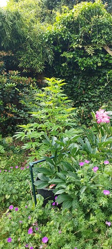 Growreport Bild 21