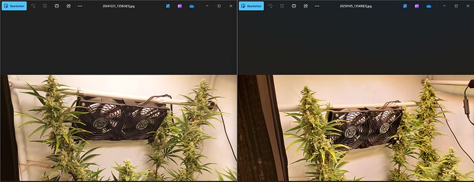 Growreport Bild 3