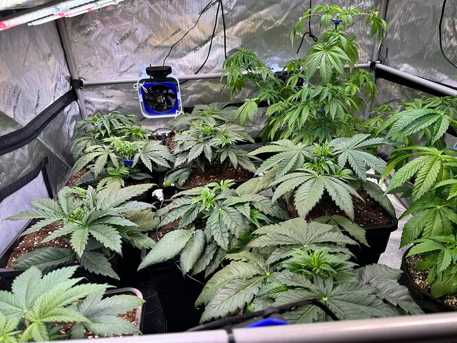 Growreport Bild 4