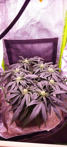 Growreport Bild 8