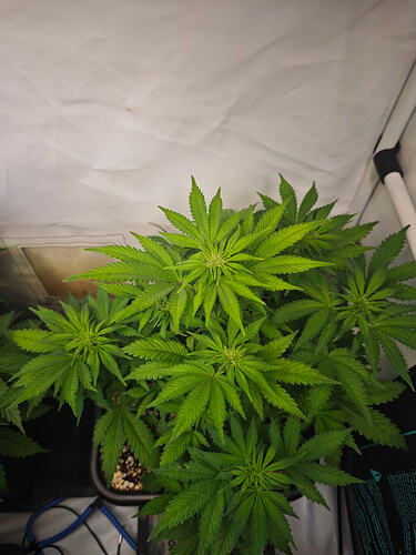 Growreport Bild 25