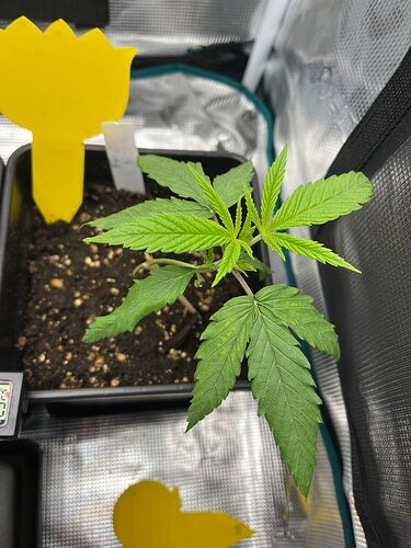 WhatsApp Image 2024-07-28 at 21.14.42