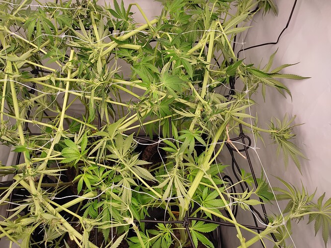 Growreport Bild 23