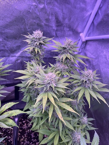 Growreport Bild 12
