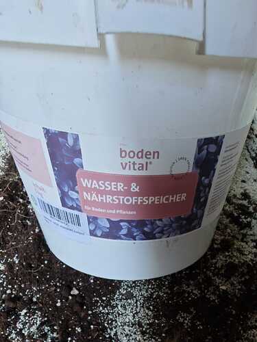 IMG-20240902-WA0040
